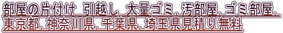 部屋の片付け 引越し 大量ゴミ,汚部屋,ゴミ部屋, 東京都,神奈川県,千葉県,埼玉県見積り無料